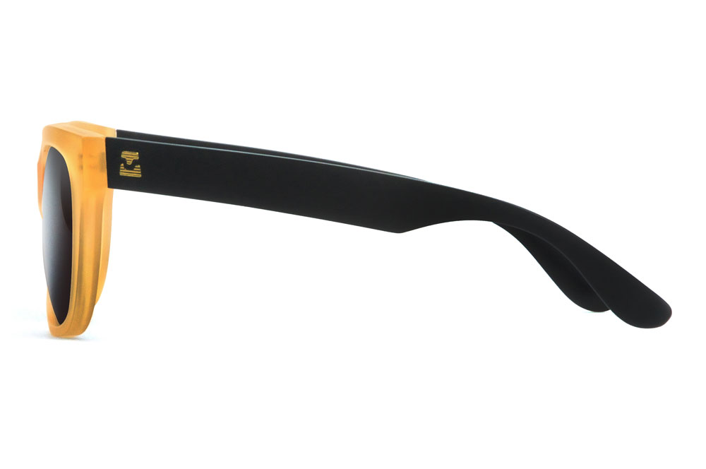 BS-002